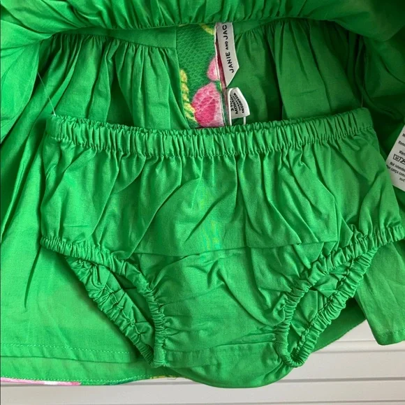 NWT Janie and Jack Baby Girl Rose Pleated Pink & Green Dress Size 3-6 Months - Picture 8 of 9